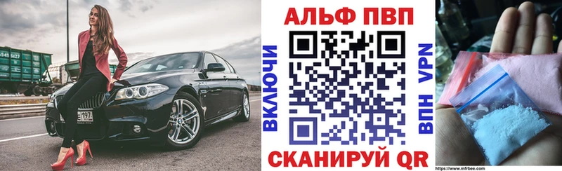 Альфа ПВП СК КРИС  Пугачёв 